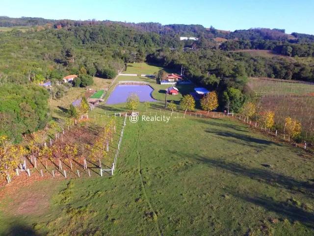 Terreno / Lote para Venda em Bento Gonçalves/RS São Pedro