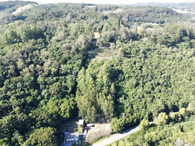Terreno / Lote para Venda em Bento Gonçalves/RS São Pedro