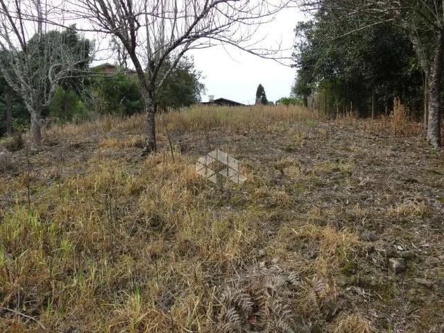 Terreno / Lote para Venda em Bento Gonçalves/RS São Roque 3 Quartos