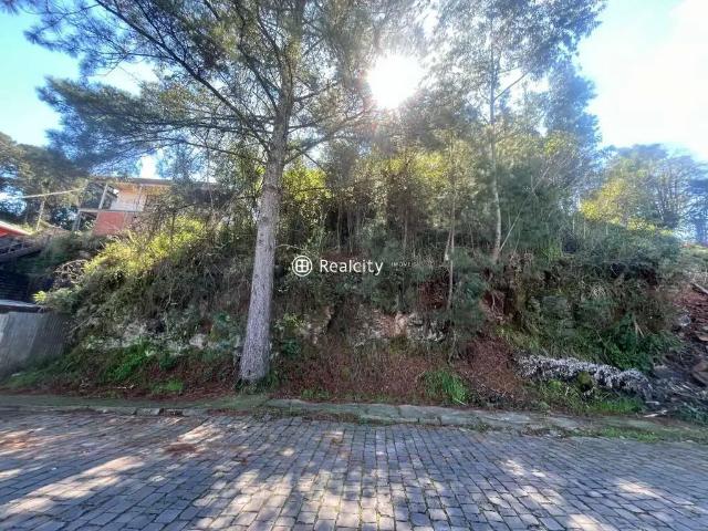 Terreno / Lote para Venda em Bento Gonçalves/RS São Roque