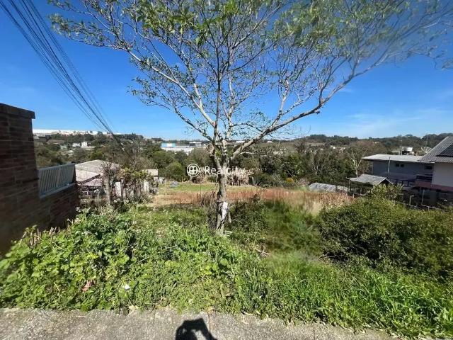 Terreno / Lote para Venda em Bento Gonçalves/RS São Roque