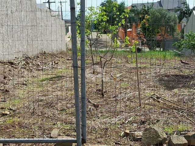 Terreno / Lote para Venda em Bento Gonçalves/RS São Roque