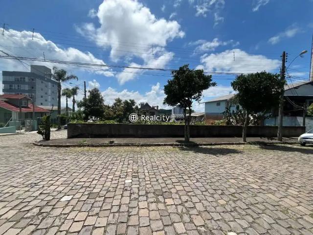 Terreno / Lote para Venda em Bento Gonçalves/RS São Roque