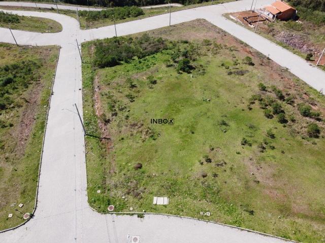 Terreno / Lote para Venda em Bento Gonçalves/RS São Roque
