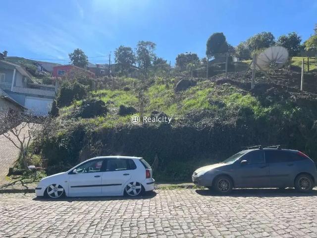 Terreno / Lote para Venda em Bento Gonçalves/RS São Roque