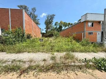 Terreno / Lote para Venda em Bento Gonçalves/RS São Roque