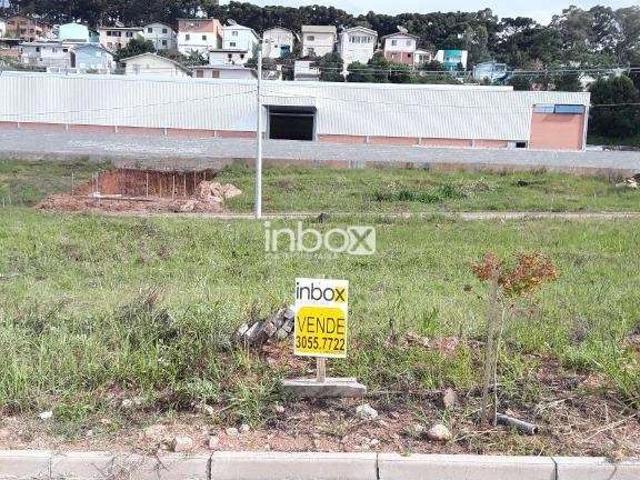 Terreno / Lote para Venda em Bento Gonçalves/RS São Roque