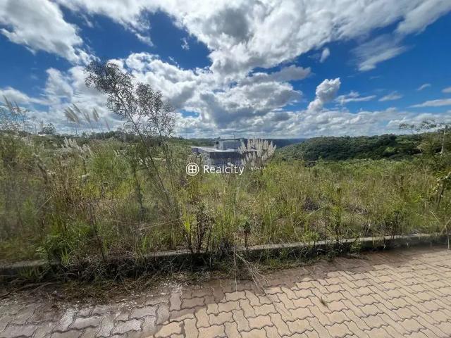 Terreno / Lote para Venda em Bento Gonçalves/RS São Roque