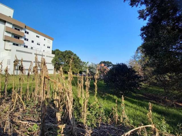 Terreno / Lote para Venda em Bento Gonçalves/RS São Roque