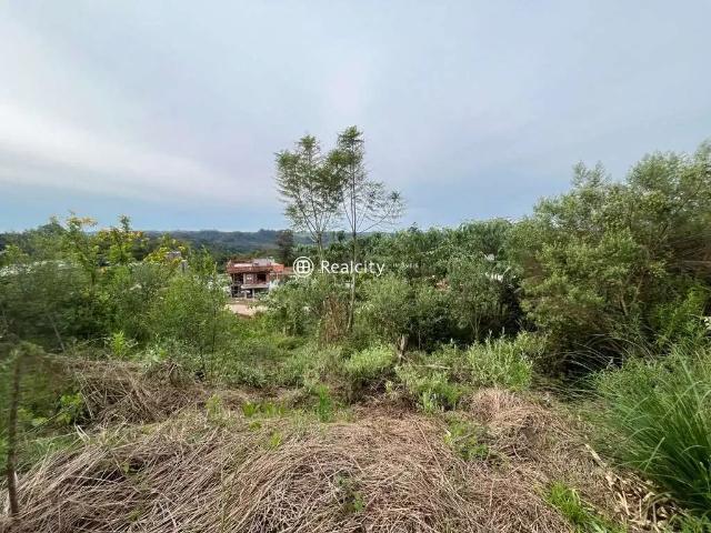 Terreno / Lote para Venda em Bento Gonçalves/RS São Roque