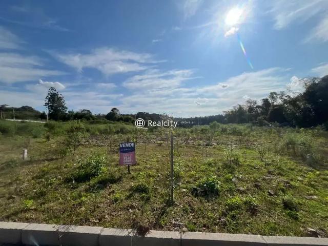 Terreno / Lote para Venda em Bento Gonçalves/RS São Roque
