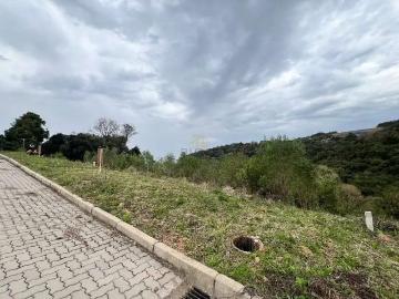 Terreno / Lote para Venda em Bento Gonçalves/RS São Roque