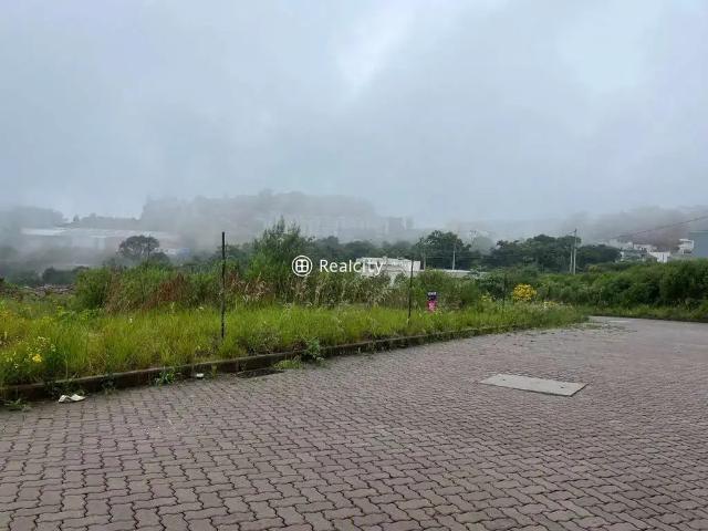 Terreno / Lote para Venda em Bento Gonçalves/RS São Roque