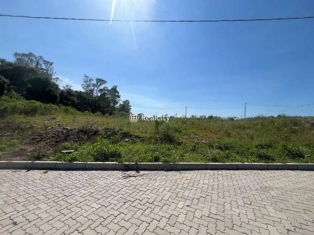 Terreno / Lote para Venda em Bento Gonçalves/RS São Roque