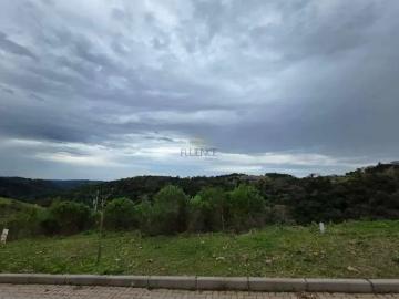 Terreno / Lote para Venda em Bento Gonçalves/RS São Roque