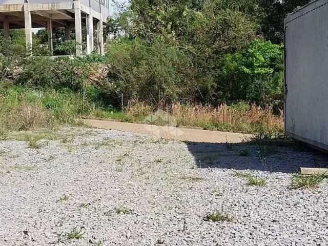 Terreno / Lote para Venda em Bento Gonçalves/RS São Roque