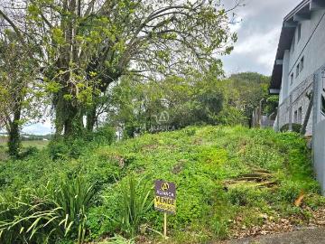 Terreno / Lote para Venda em Bento Gonçalves/RS São Roque