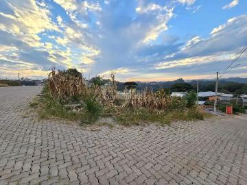 Terreno / Lote para Venda em Bento Gonçalves/RS São Roque