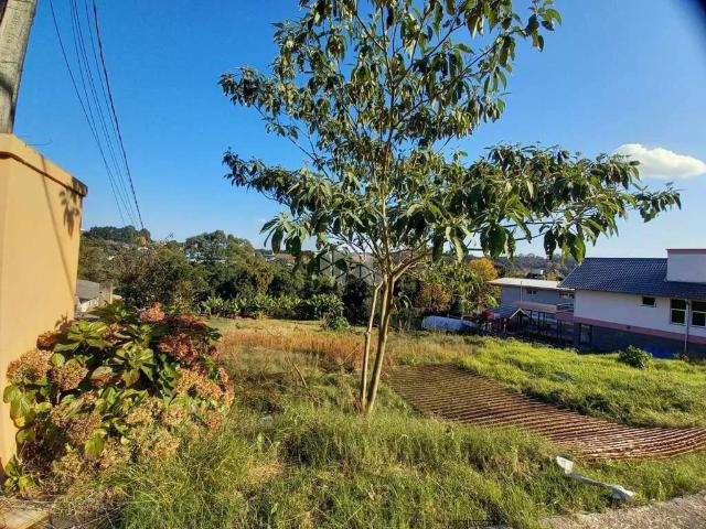Terreno / Lote para Venda em Bento Gonçalves/RS São Roque