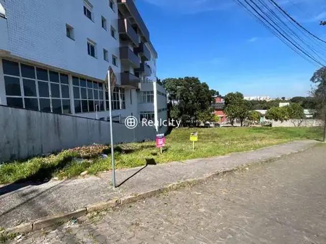 Terreno / Lote para Venda em Bento Gonçalves/RS São Roque