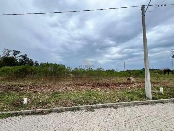 Terreno / Lote para Venda em Bento Gonçalves/RS São Roque