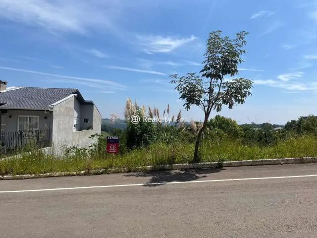 Terreno / Lote para Venda em Bento Gonçalves/RS São Roque