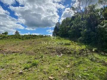 Terreno / Lote para Venda em Bento Gonçalves/RS São Roque