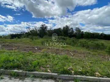 Terreno / Lote para Venda em Bento Gonçalves/RS São Roque