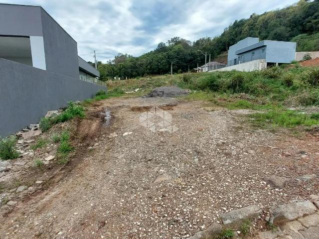 Terreno / Lote para Venda em Bento Gonçalves/RS São Roque