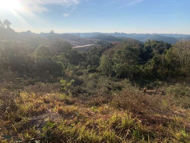 Terreno / Lote para Venda em Bento Gonçalves/RS São Roque