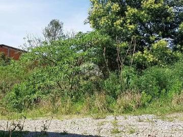 Terreno / Lote para Venda em Bento Gonçalves/RS São Roque