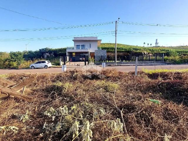 Terreno / Lote para Venda em Bento Gonçalves/RS São Valentin