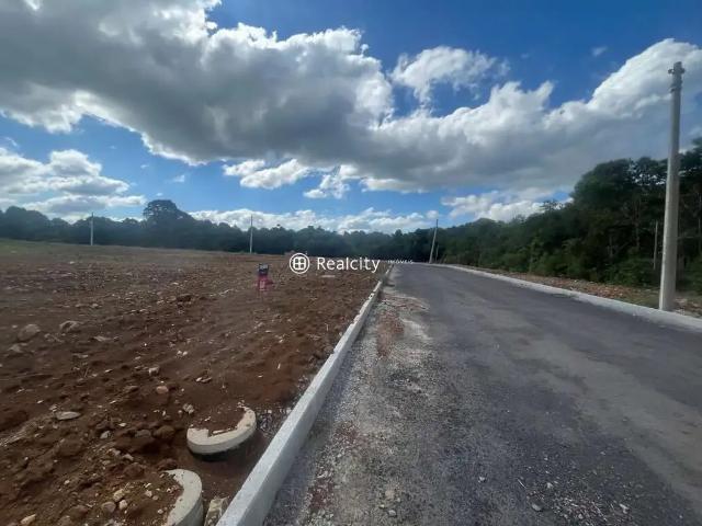 Terreno / Lote para Venda em Bento Gonçalves/RS São Valentin