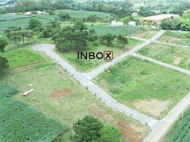 Terreno / Lote para Venda em Bento Gonçalves/RS São Valentin