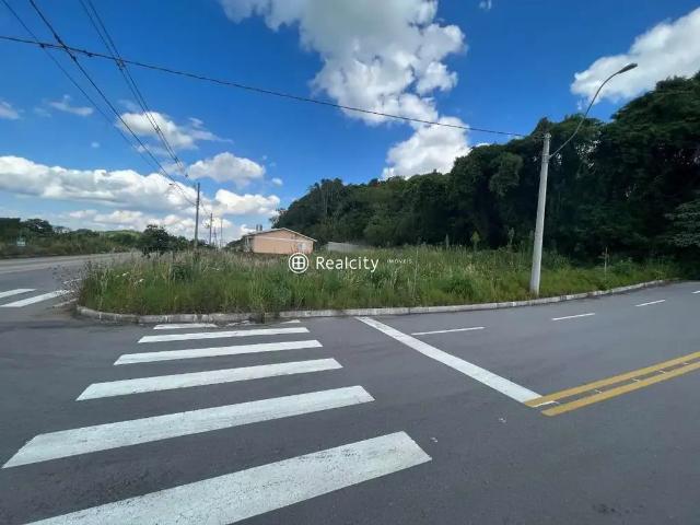 Terreno / Lote para Venda em Bento Gonçalves/RS São Valentin