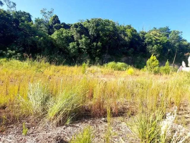 Terreno / Lote para Venda em Bento Gonçalves/RS São Valentin