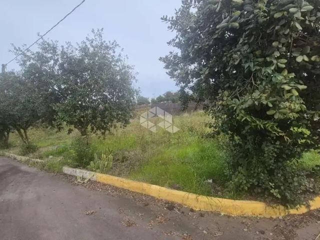 Terreno / Lote para Venda em Bento Gonçalves/RS São Valentin