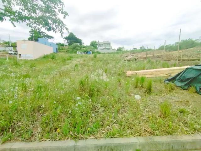 Terreno / Lote para Venda em Bento Gonçalves/RS São Valentin