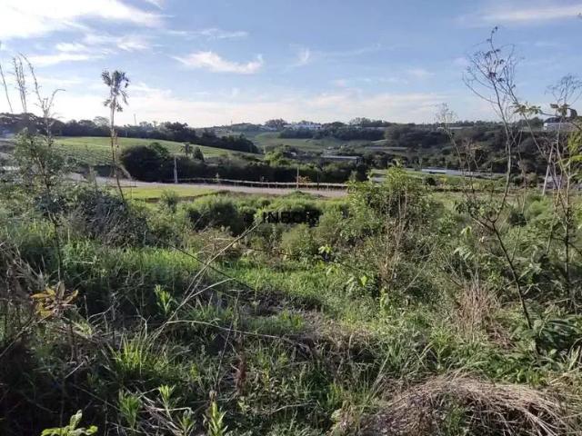 Terreno / Lote para Venda em Bento Gonçalves/RS São Valentin