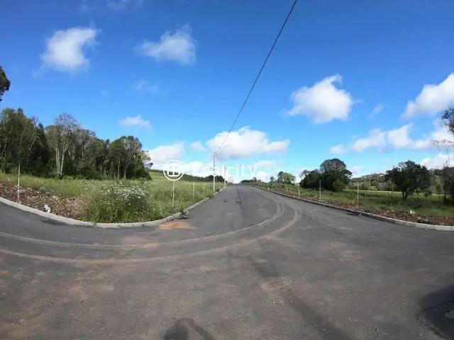 Terreno / Lote para Venda em Bento Gonçalves/RS São Valentin