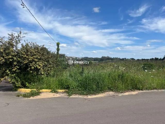 Terreno / Lote para Venda em Bento Gonçalves/RS São Valentin