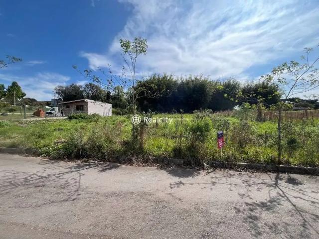 Terreno / Lote para Venda em Bento Gonçalves/RS São Valentin