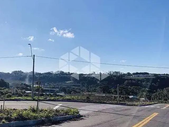 Terreno / Lote para Venda em Bento Gonçalves/RS São Valentin