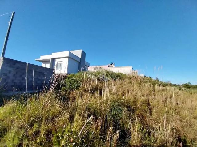 Terreno / Lote para Venda em Bento Gonçalves/RS São Valentin