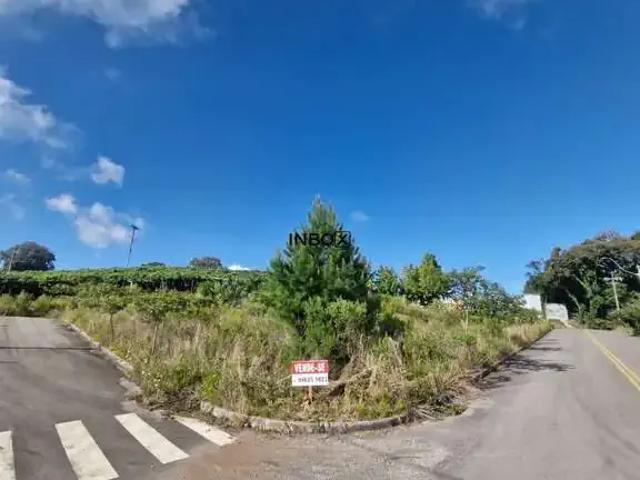 Terreno / Lote para Venda em Bento Gonçalves/RS São Valentin