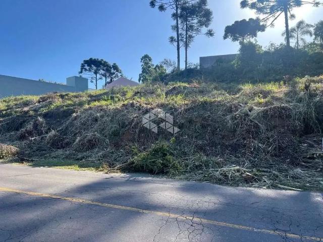 Terreno / Lote para Venda em Bento Gonçalves/RS São Valentin
