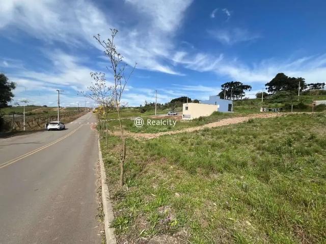 Terreno / Lote para Venda em Bento Gonçalves/RS São Valentin