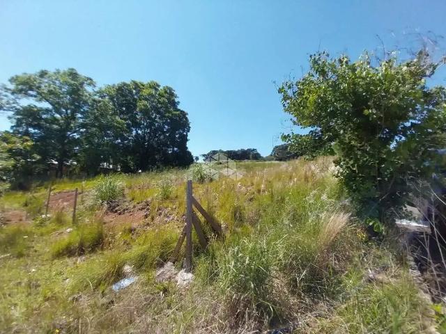 Terreno / Lote para Venda em Bento Gonçalves/RS São Valentin