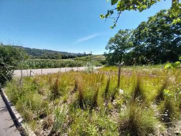 Terreno / Lote para Venda em Bento Gonçalves/RS São Valentin