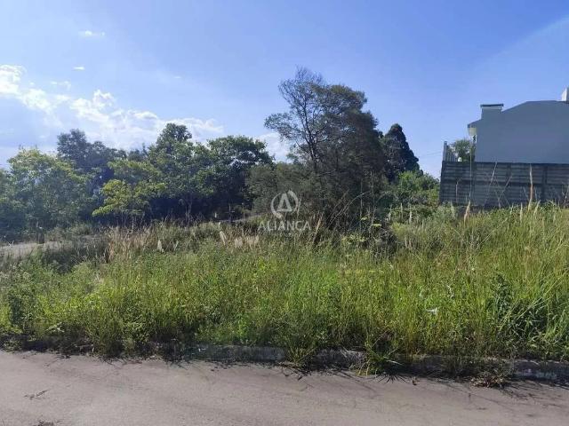 Terreno / Lote para Venda em Bento Gonçalves/RS São Valentin